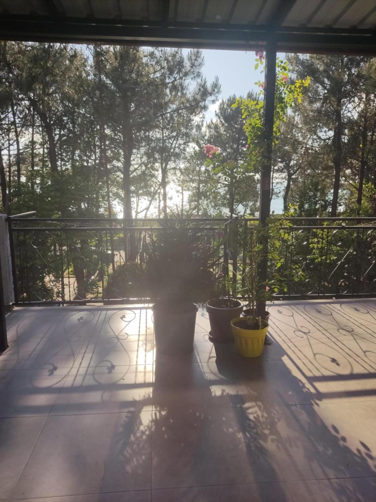 Apartment Agmashenebeli 99 Kobuleti Bagian luar foto